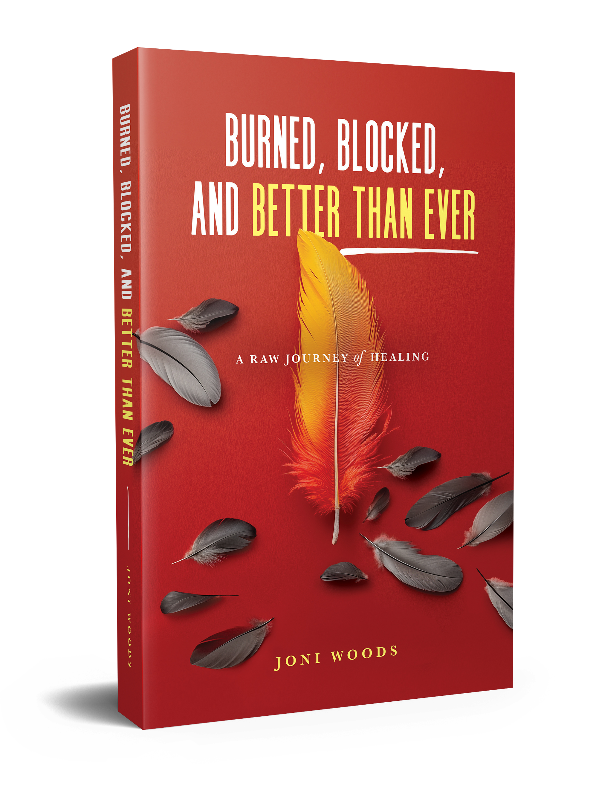 Burned, Blocked, and Better Than Ever - Book Cover